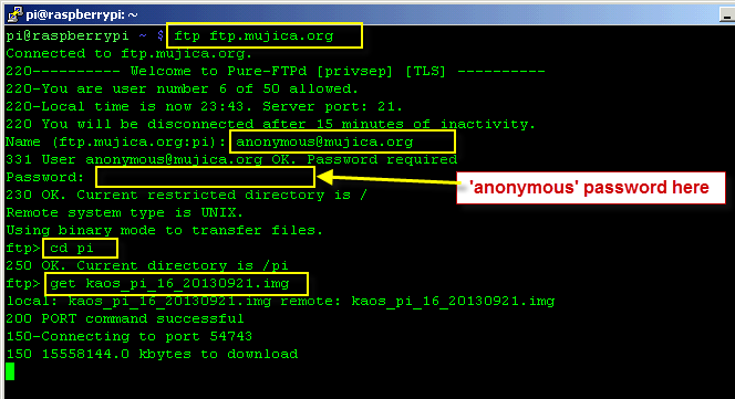 Linux command line FTP download